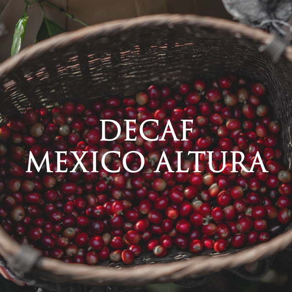 Decaf Mexico Altura (SWP)