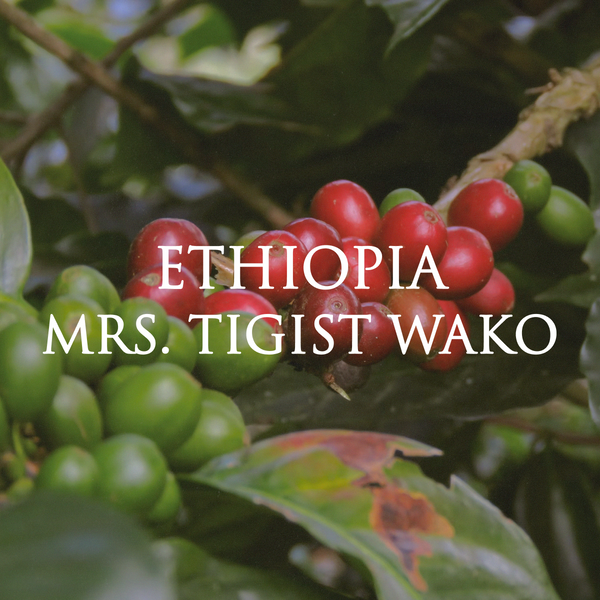 Ethiopia Mrs. Tigist Wako (Natural)